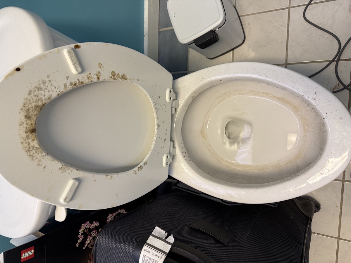 Deep House Cleaning — Mariia Shubina