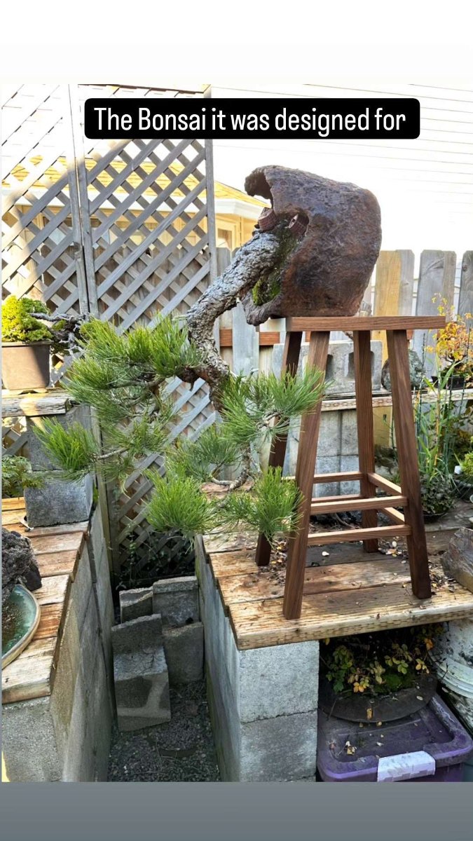 Bonsai Table — Joshua Franklin