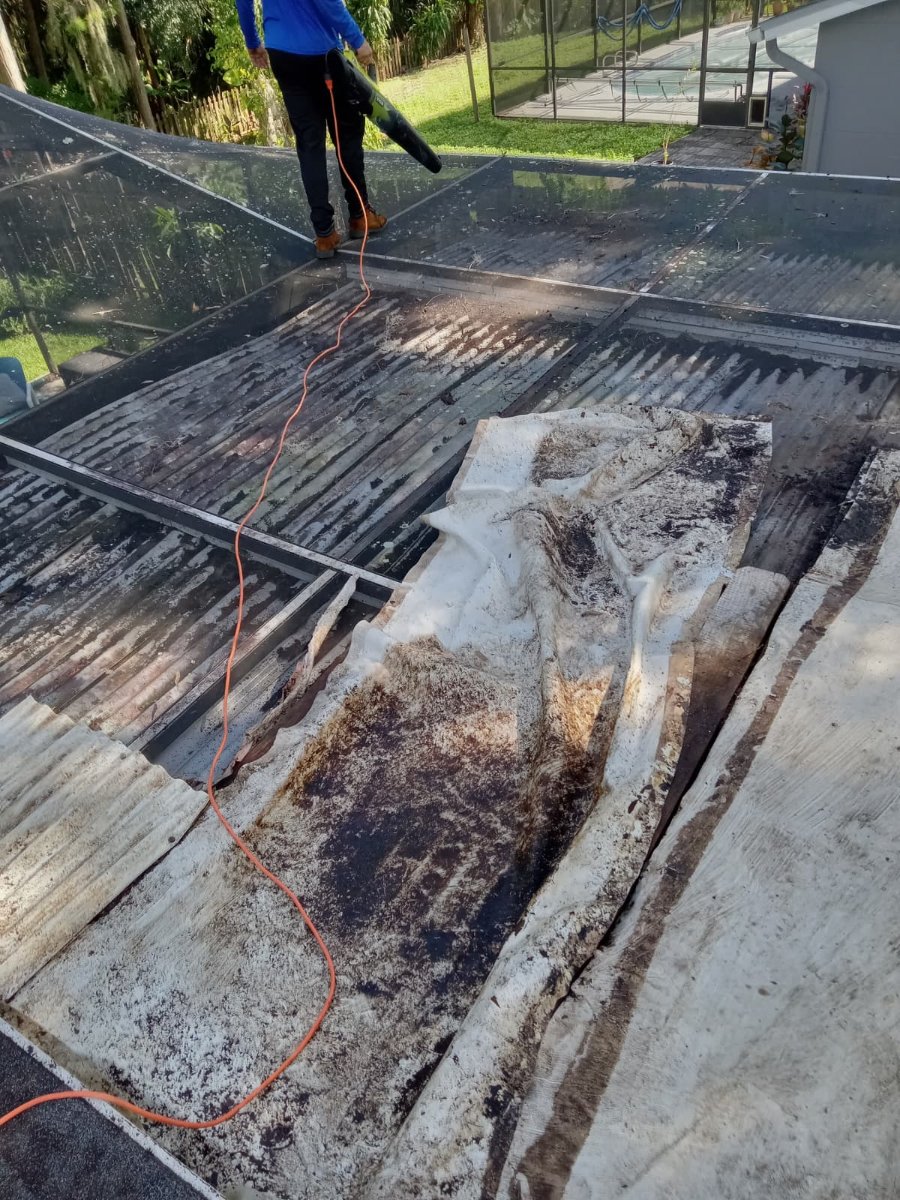 Roof Debris Cleaning — Yasiel Ruiz