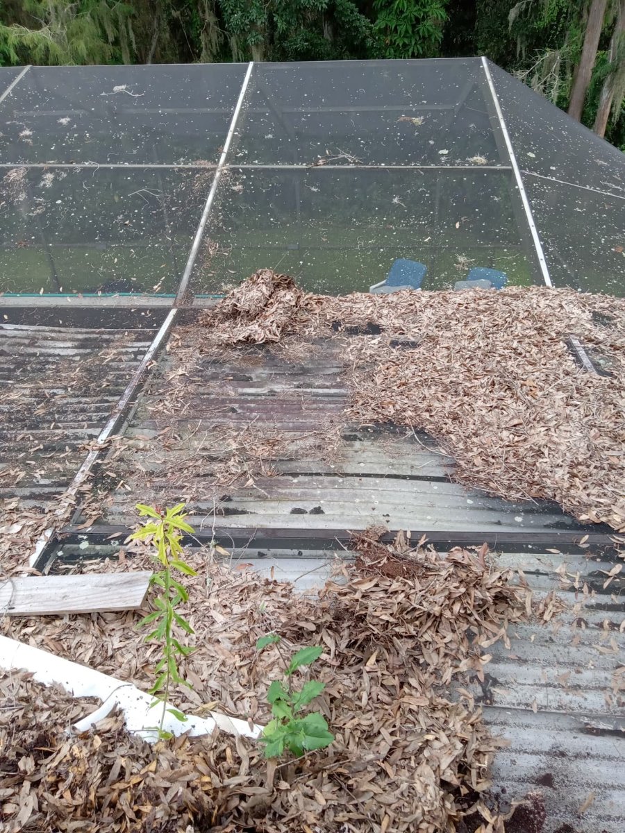 Roof Debris Cleaning — Yasiel Ruiz