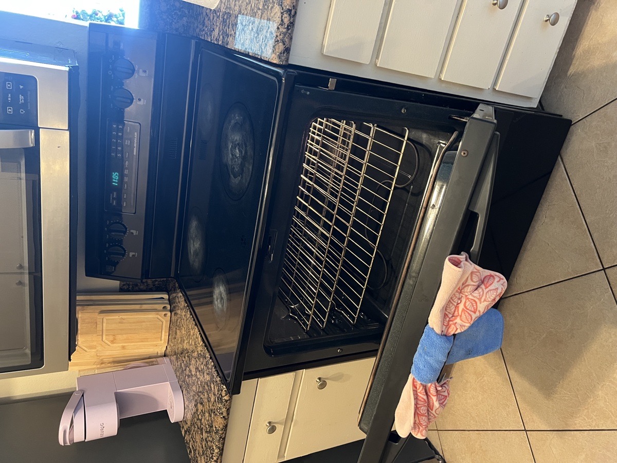 housecleaning — Jaquelin Rodriguez 