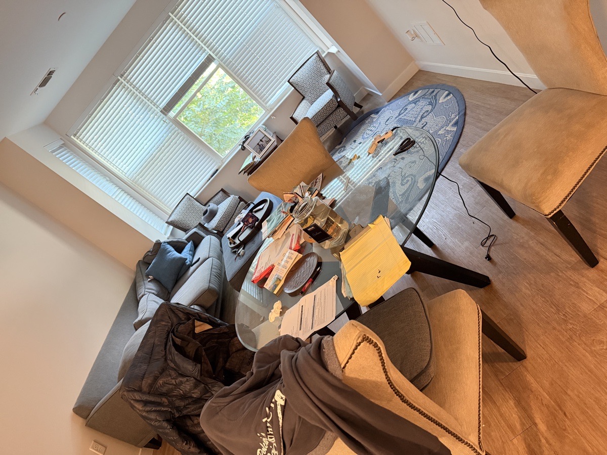dep cleaning — Mayara Kelem