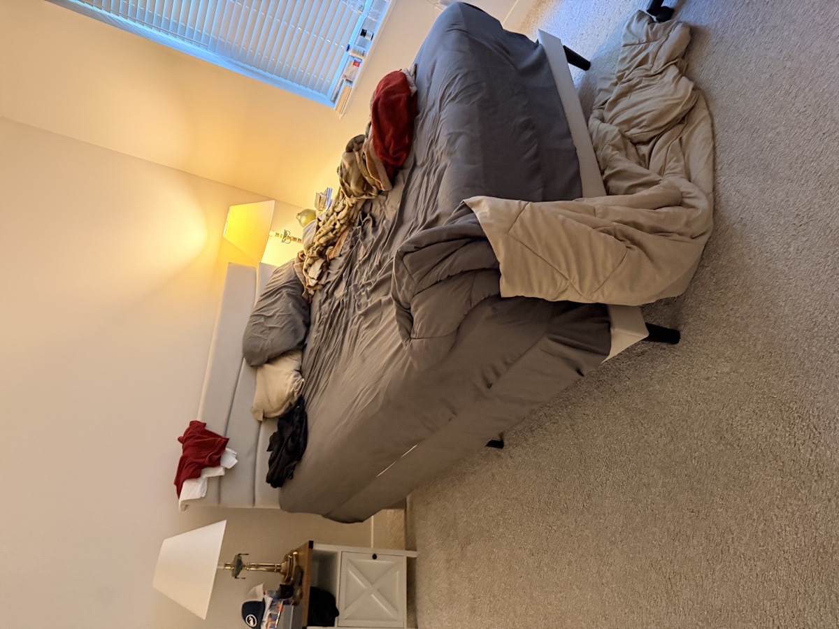 dep cleaning — Mayara Kelem