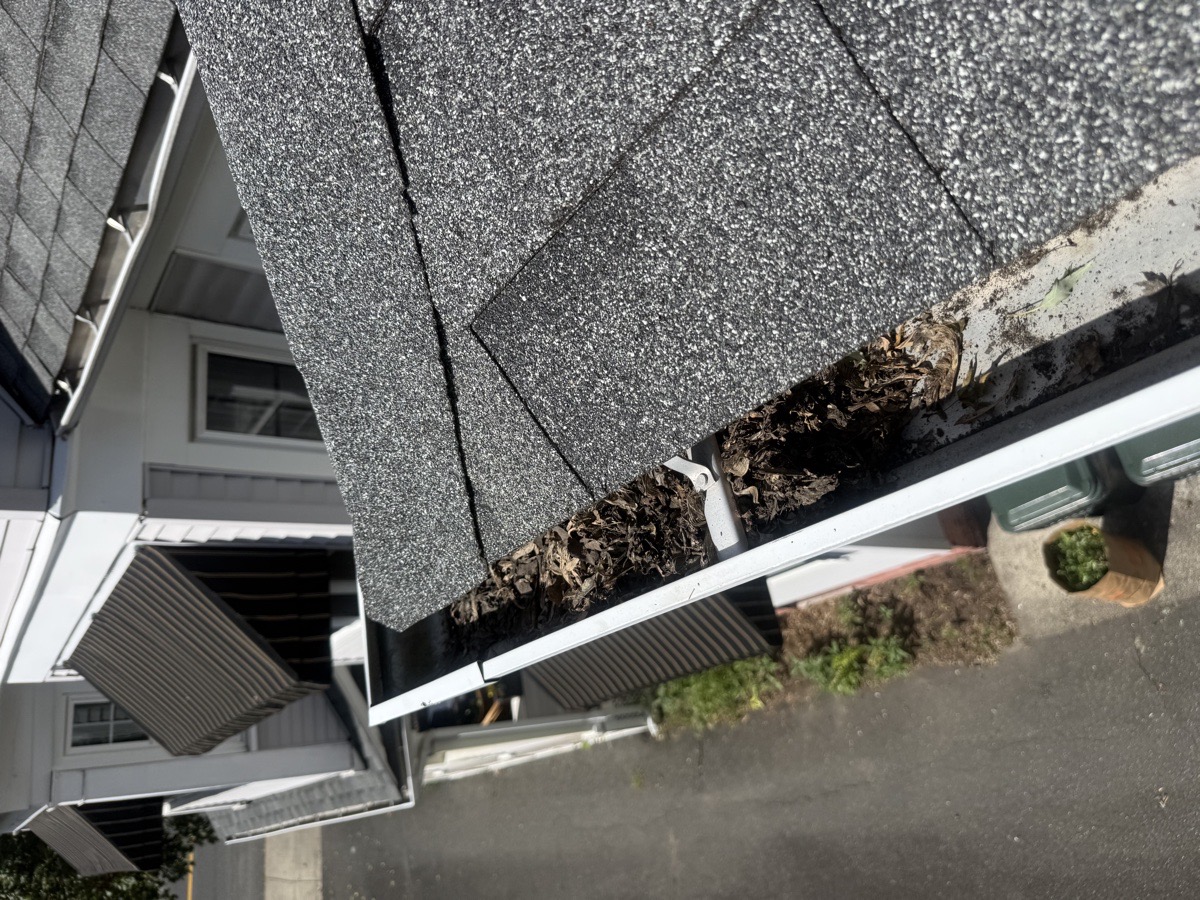 Exterior House Cleaning & Restoration — Ruvym Dobrovolskyi