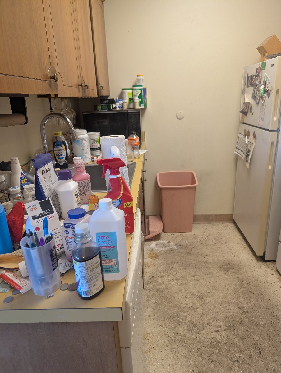Before and after photos — Tiffany Stevenson