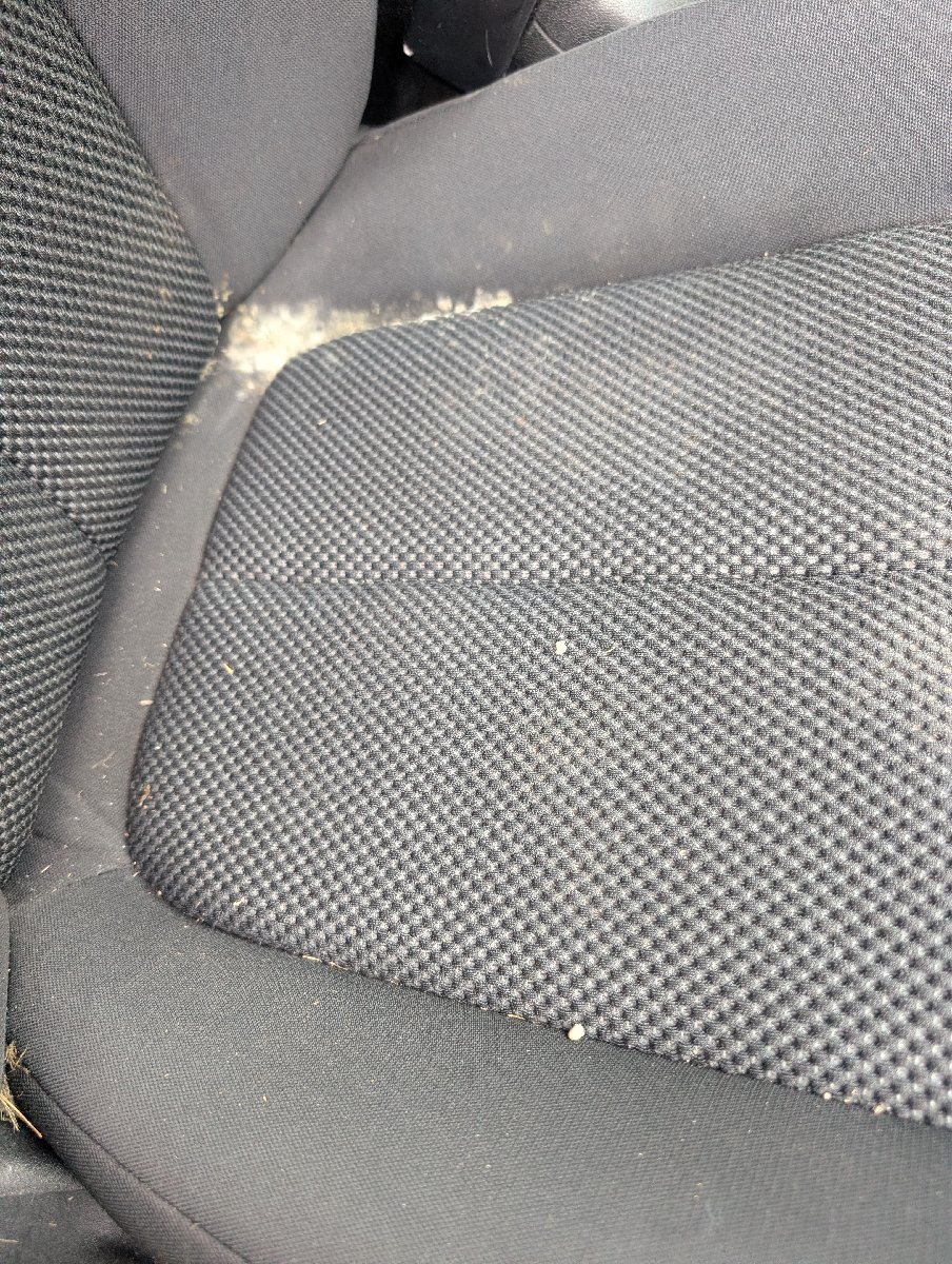 car detailing — Tiffany Stevenson