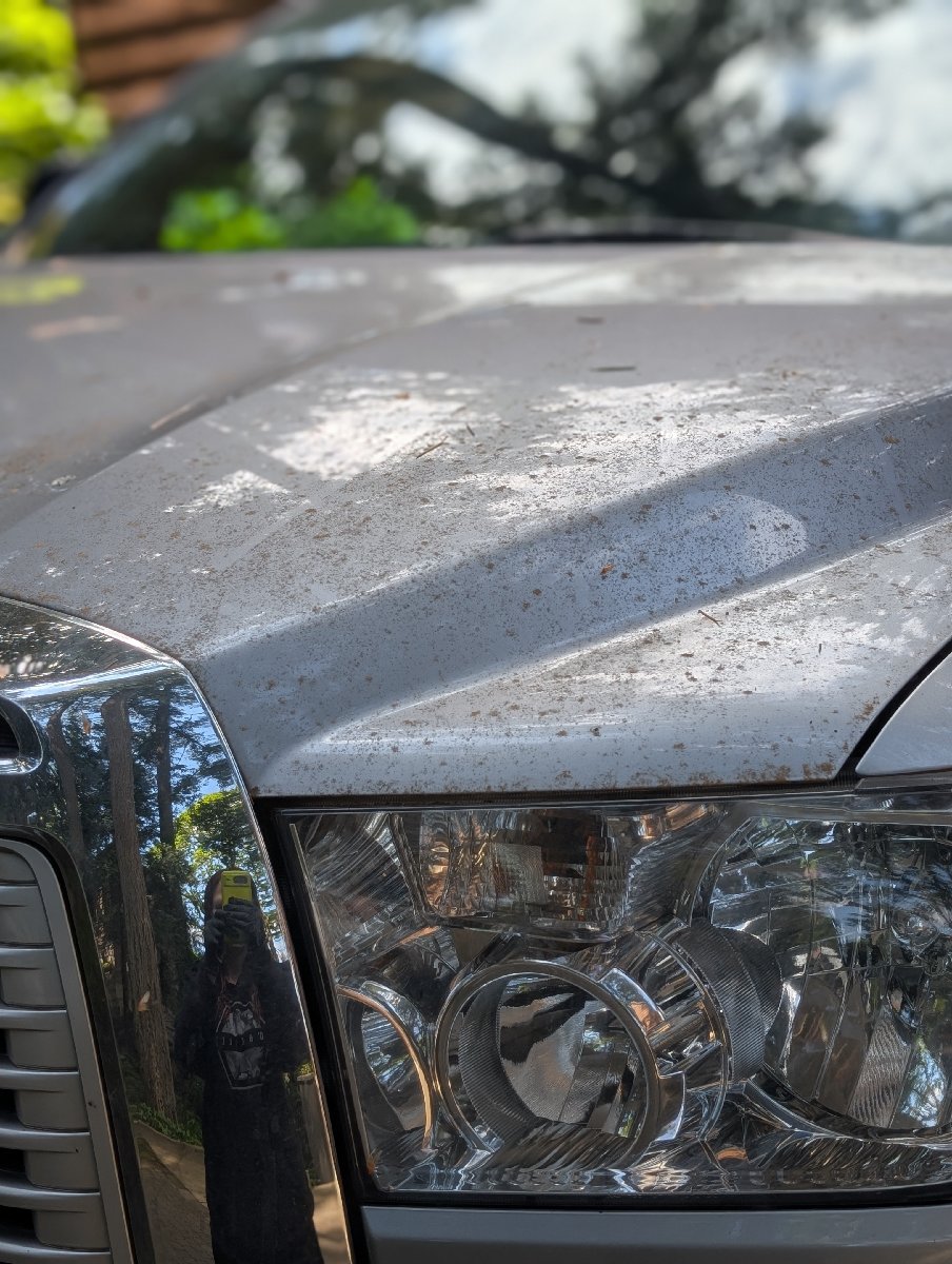 car detailing — Tiffany Stevenson
