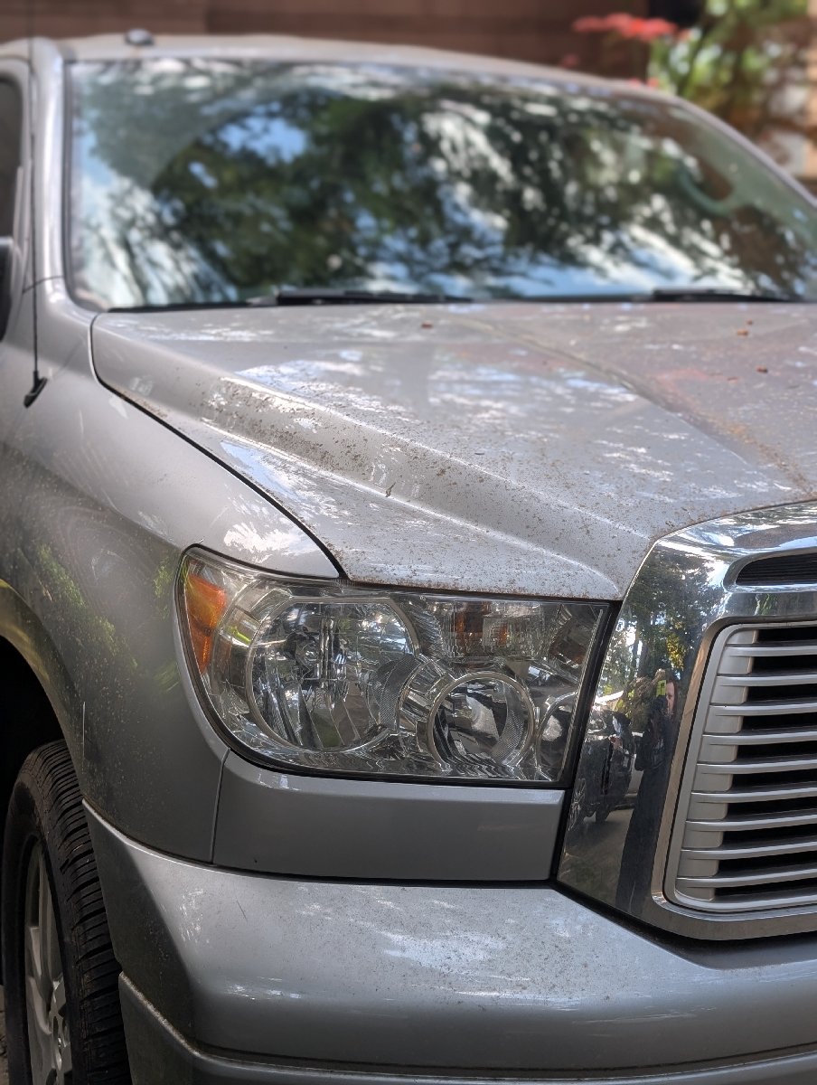 car detailing — Tiffany Stevenson