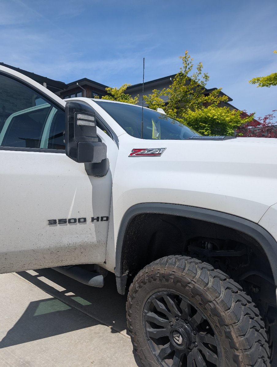 car detailing — Tiffany Stevenson