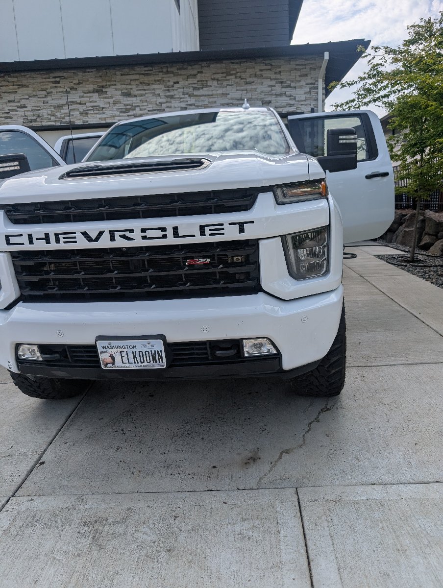 car detailing — Tiffany Stevenson