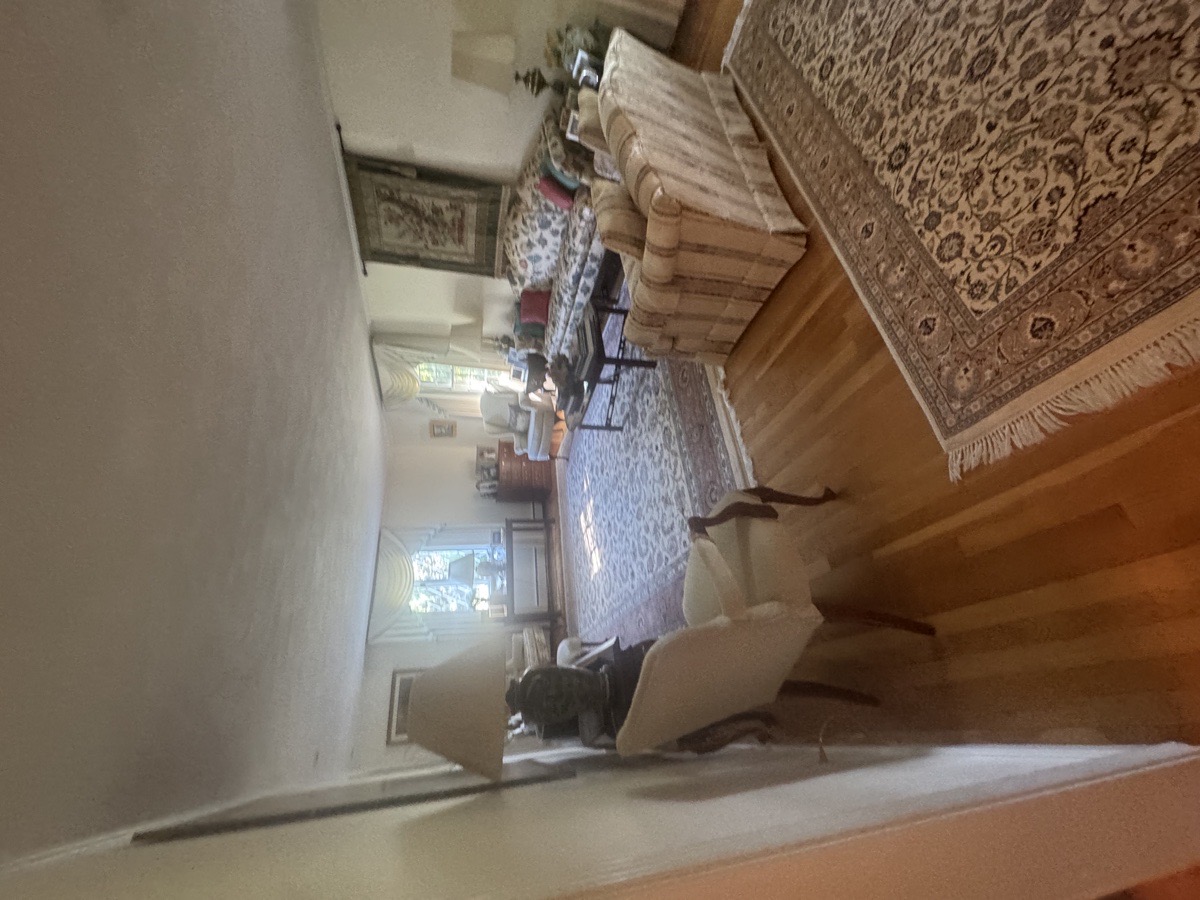 depcleaning — Christiani Silva De Souza 