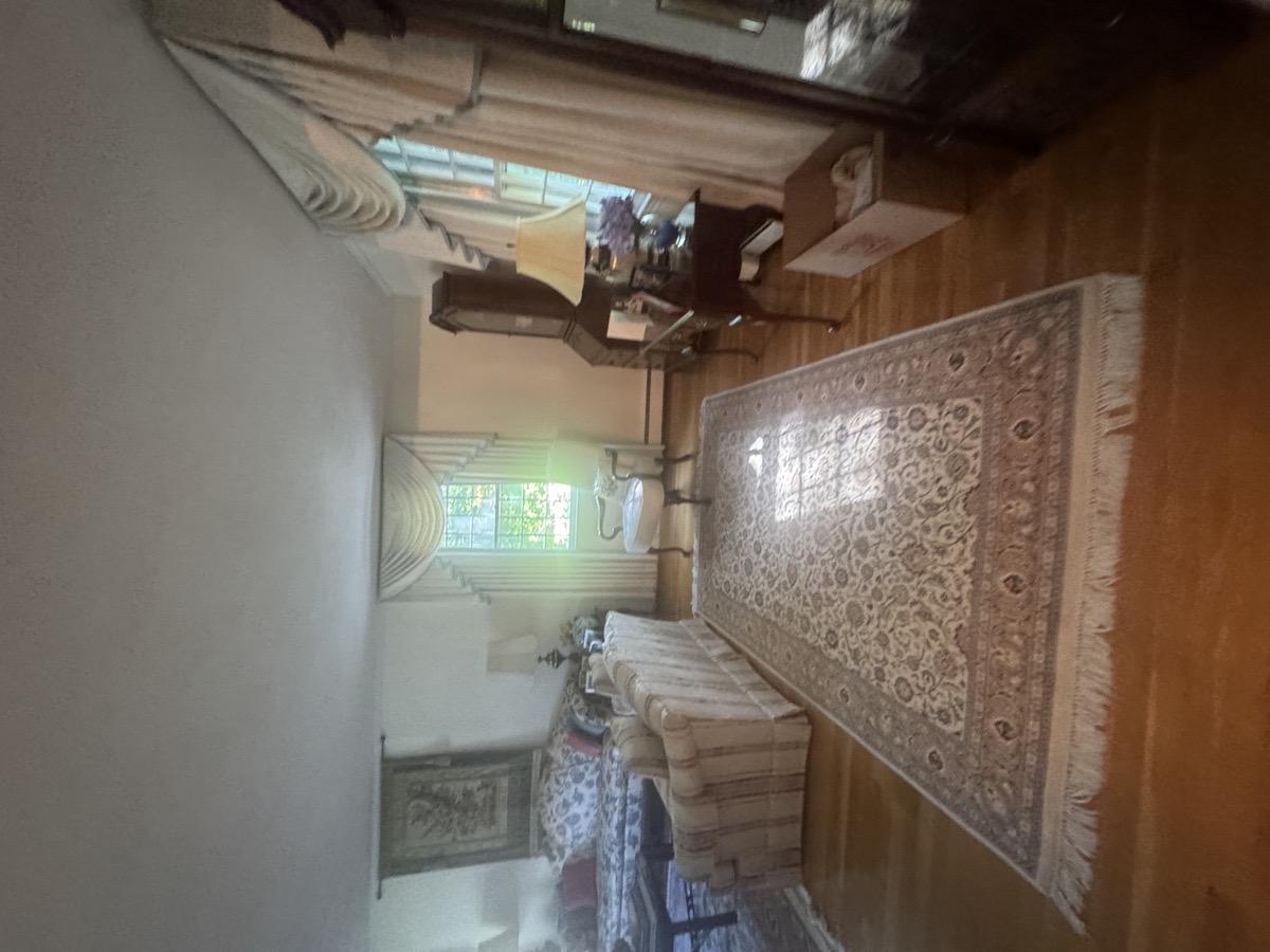 depcleaning — Christiani Silva De Souza 