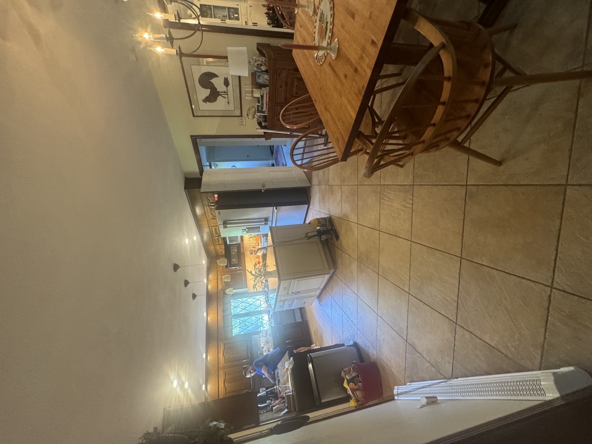 depcleaning — Christiani Silva De Souza 
