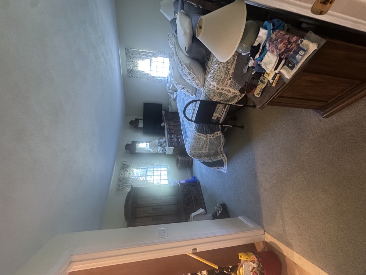 depcleaning — Christiani Silva De Souza 