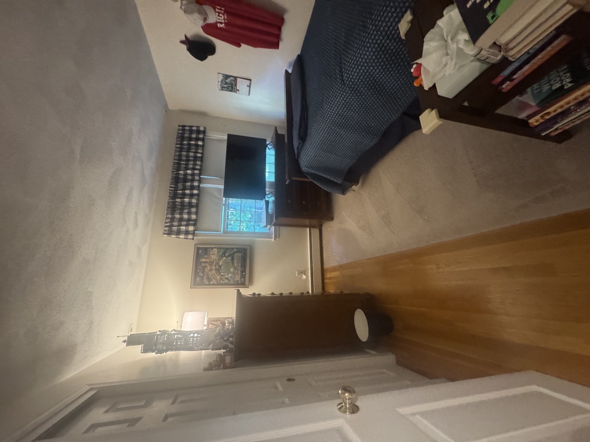 depcleaning — Christiani Silva De Souza 