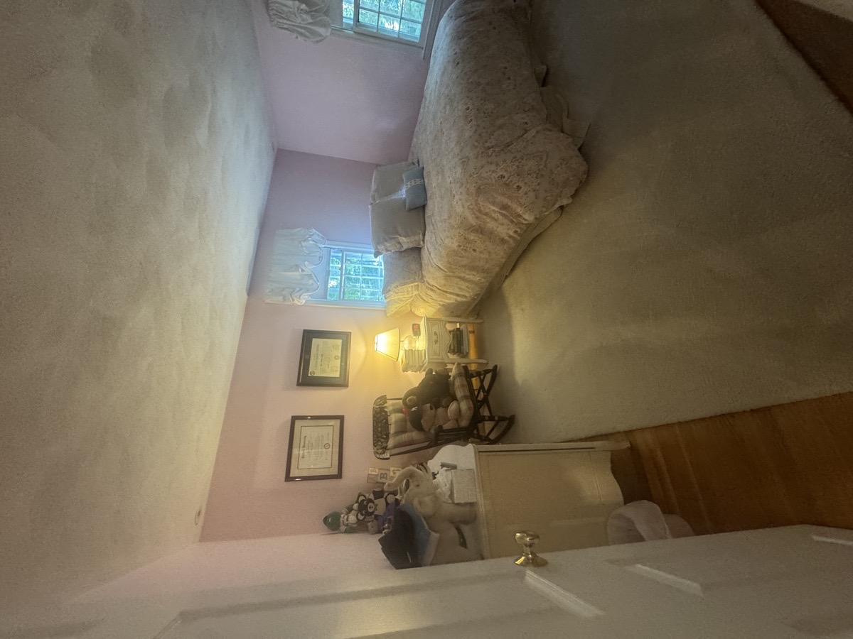 depcleaning — Christiani Silva De Souza 