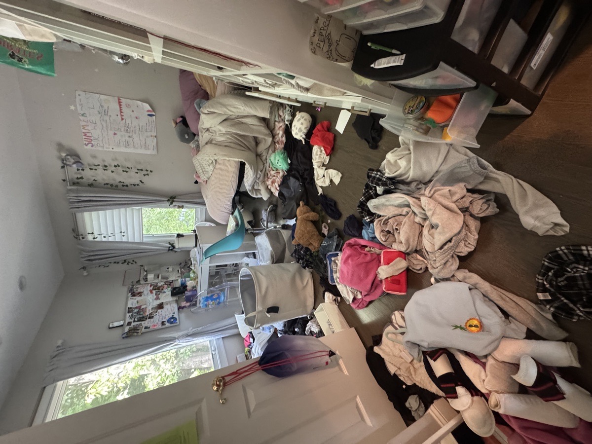 depcleaning — Christiani Silva De Souza 
