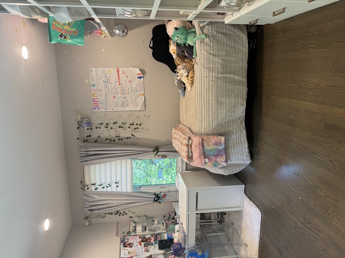 depcleaning — Christiani Silva De Souza 