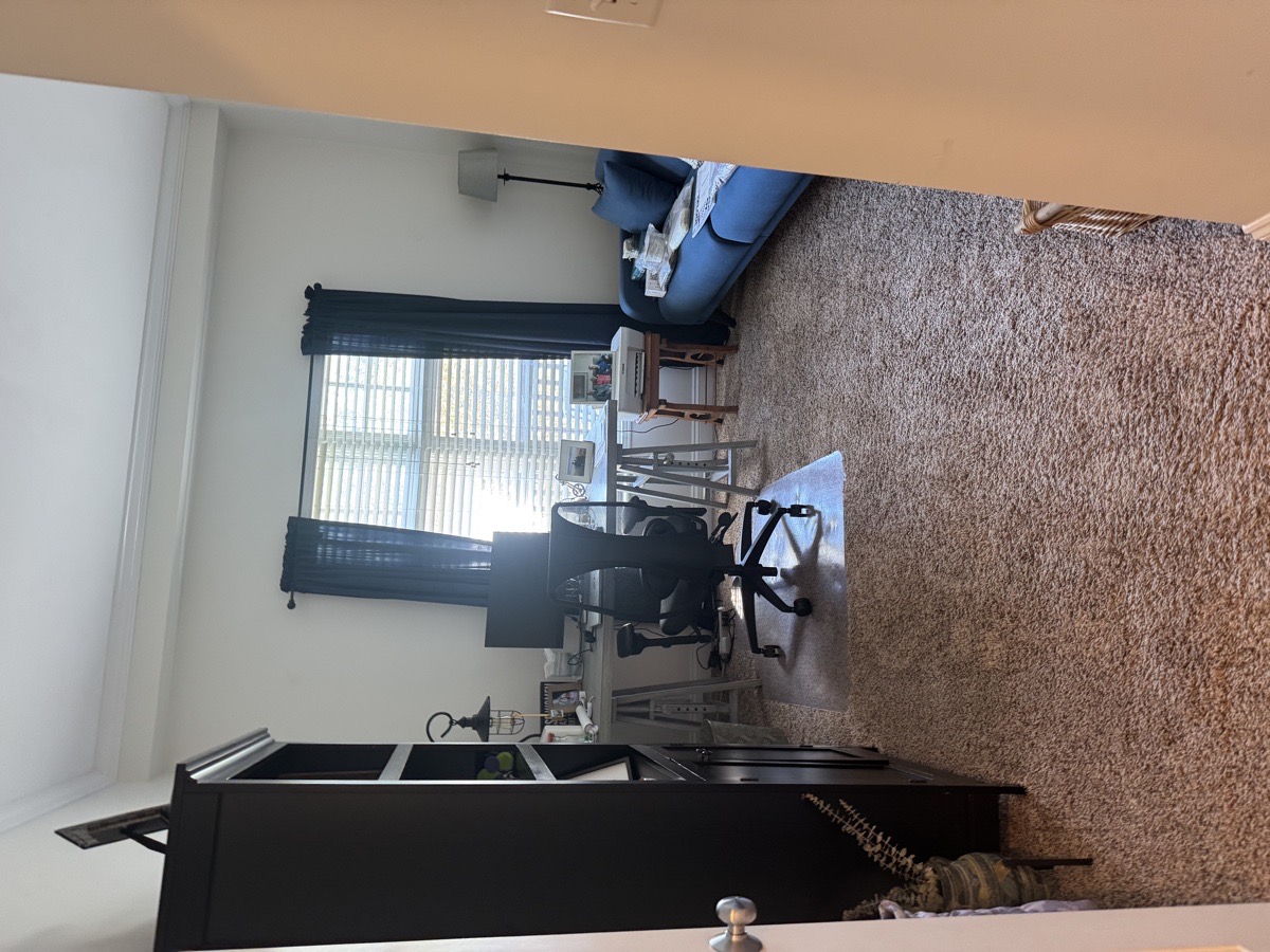 depcleaning — Christiani Silva De Souza 