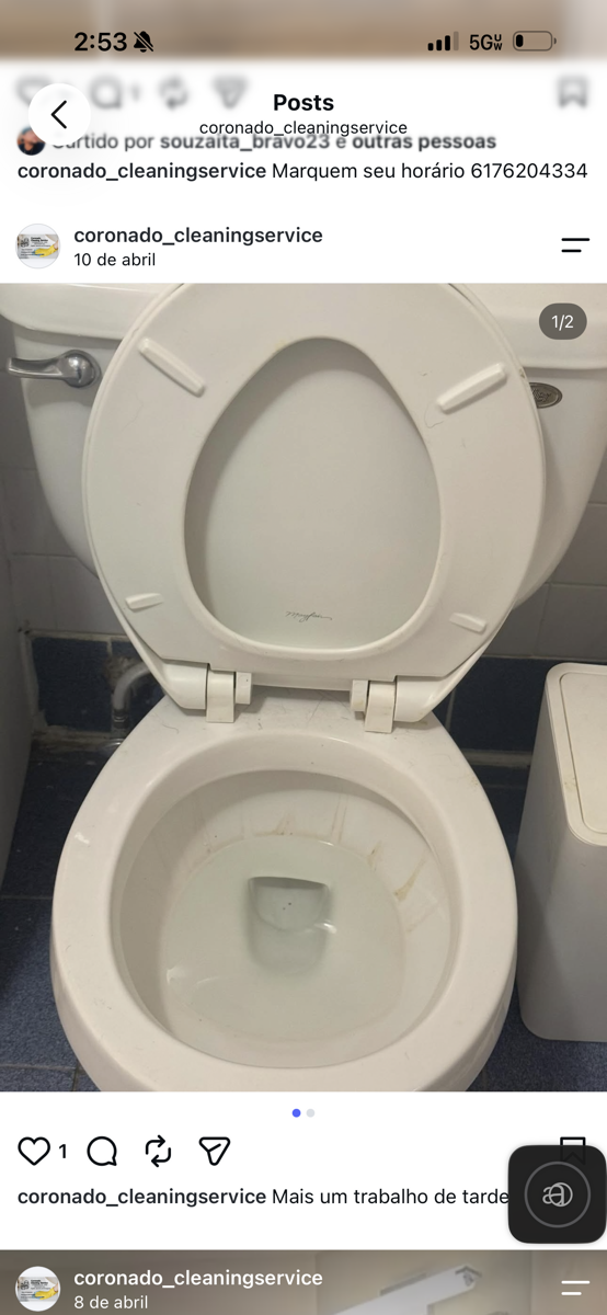 depcleaning — Christiani Silva De Souza 