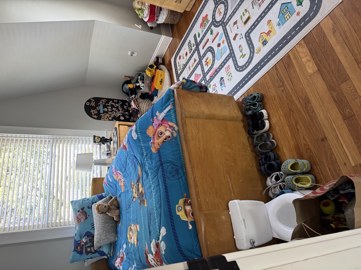depcleaning — Christiani Silva De Souza 