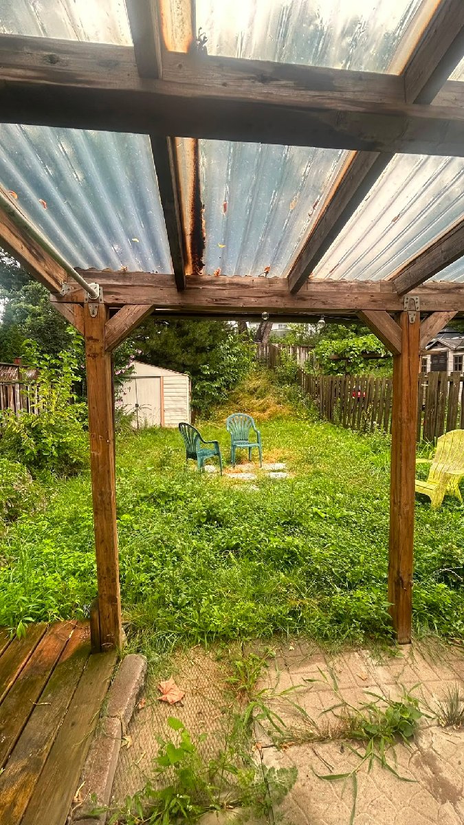 Lawn transformation — Lee Bradbury