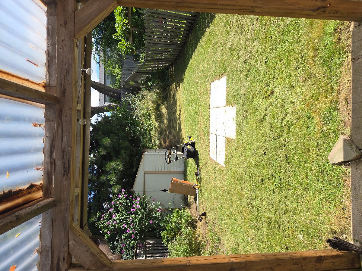 Lawn transformation — Lee Bradbury