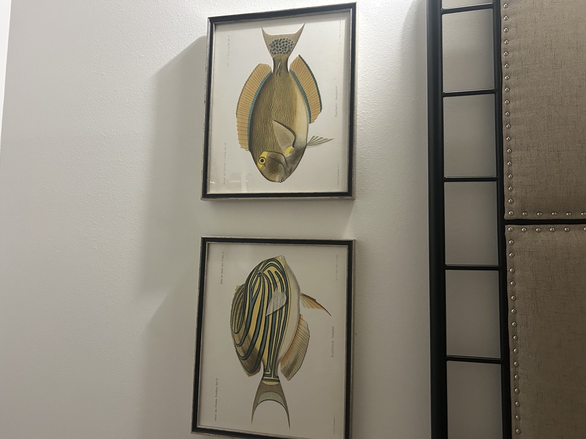 pictures hung — Ryan Morrison