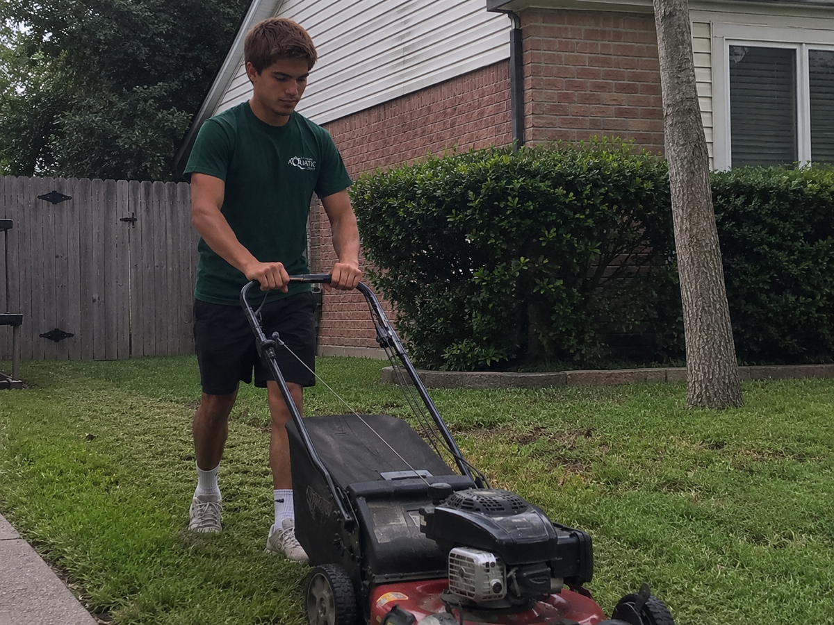 Lawn Mowing — Thomas Wildman