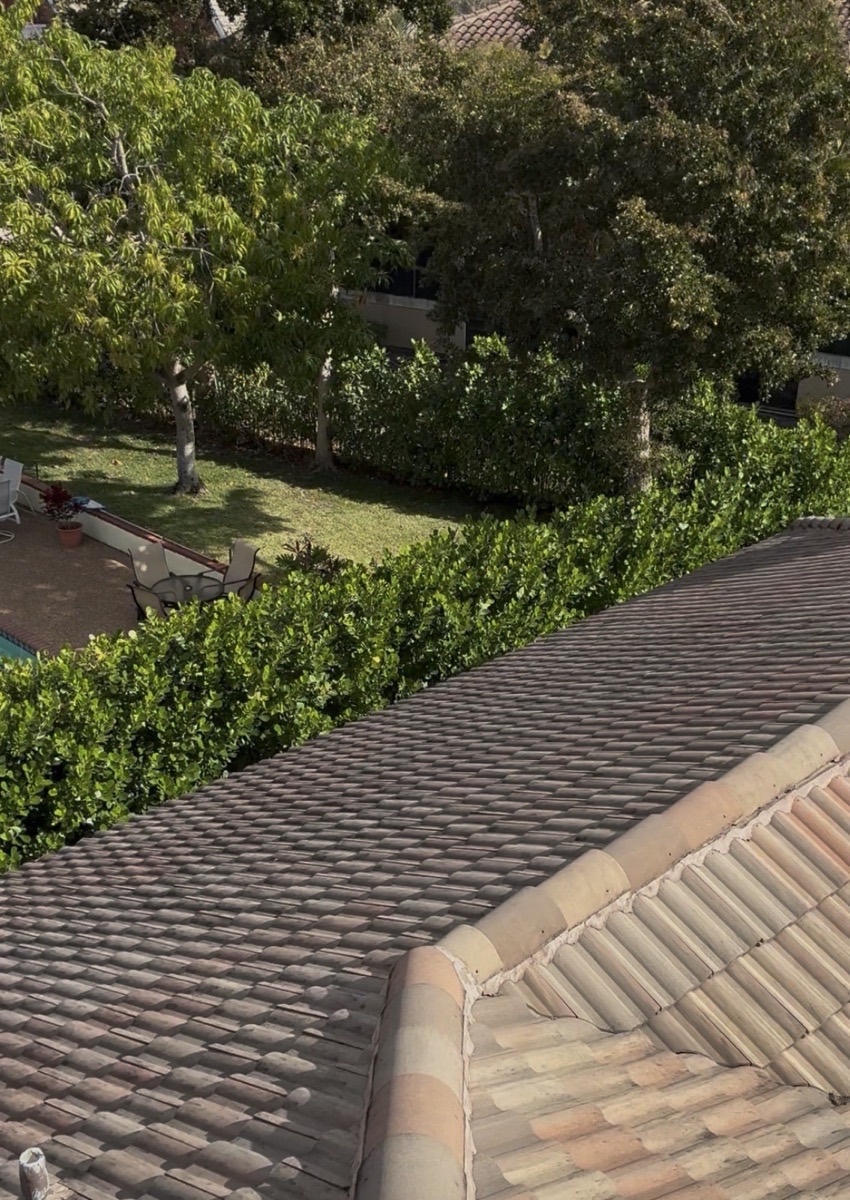 exterior cleaning — High Glass Windows Cleaning 