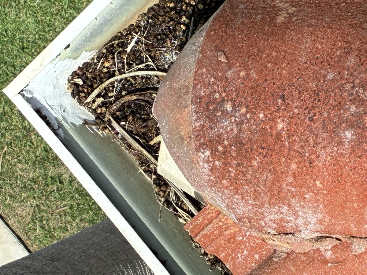 exterior cleaning — High Glass Windows Cleaning 