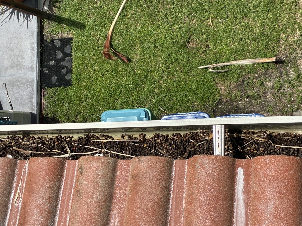 exterior cleaning — High Glass Windows Cleaning 