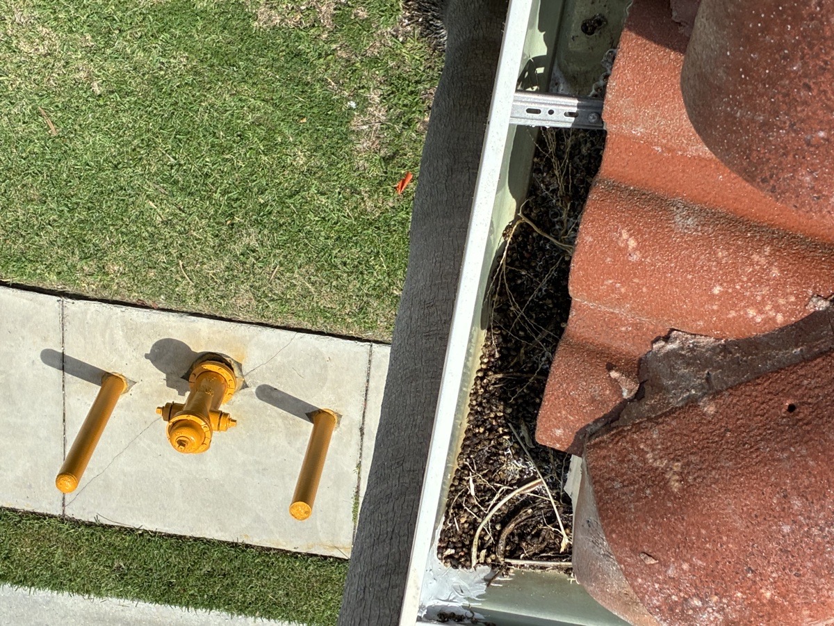 exterior cleaning — High Glass Windows Cleaning 