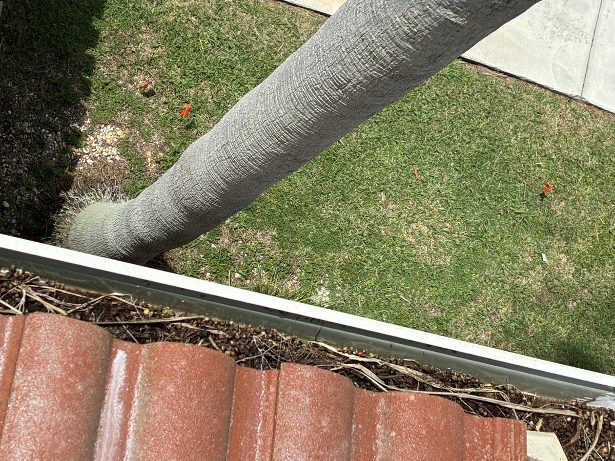 exterior cleaning — High Glass Windows Cleaning 