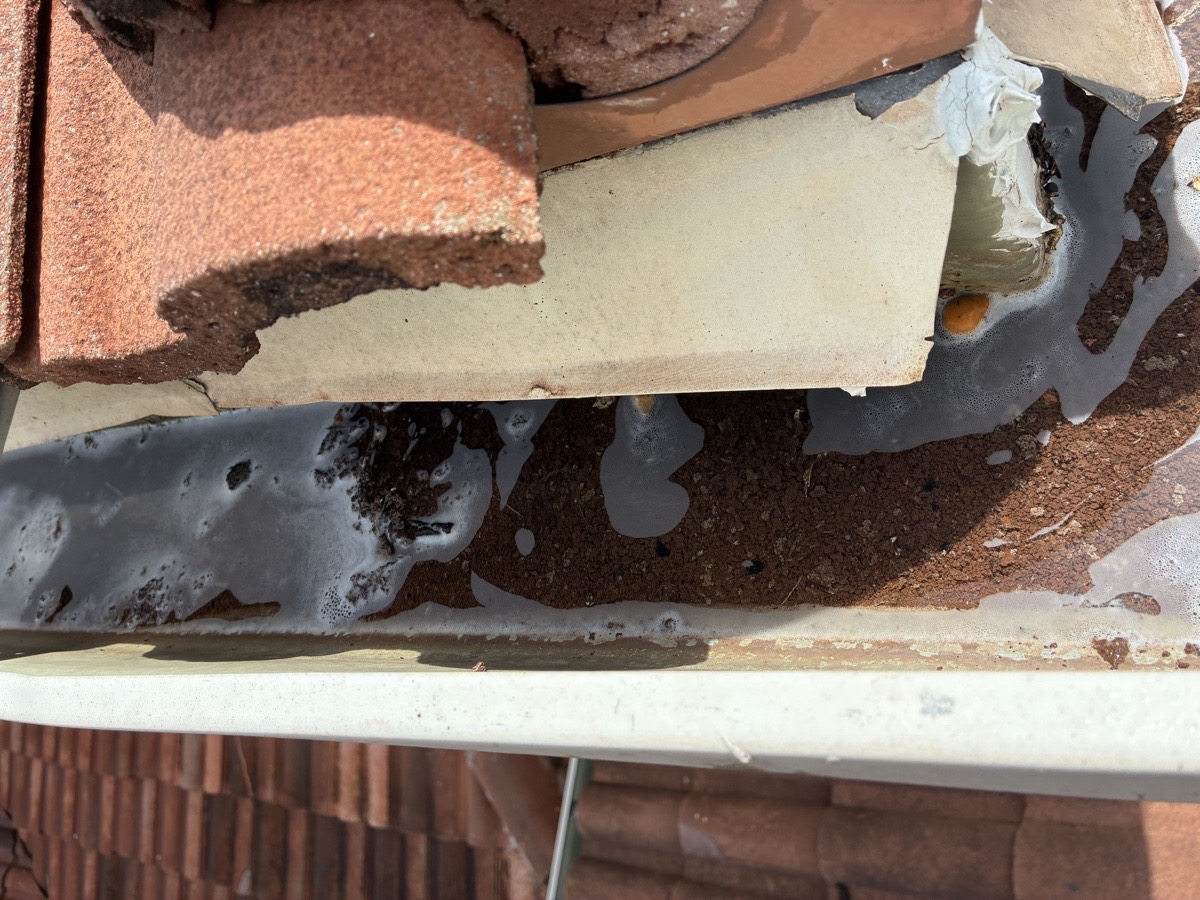 exterior cleaning — High Glass Windows Cleaning 