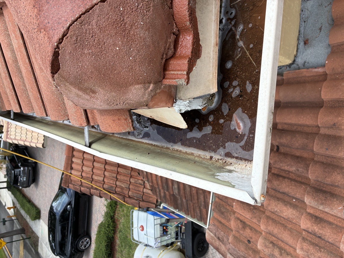 exterior cleaning — High Glass Windows Cleaning 
