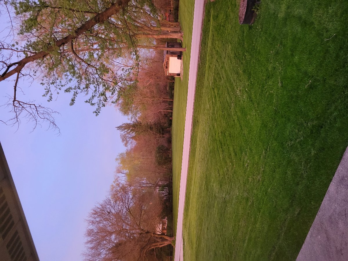 lawn mowing — Tyler Stworzyjanek 