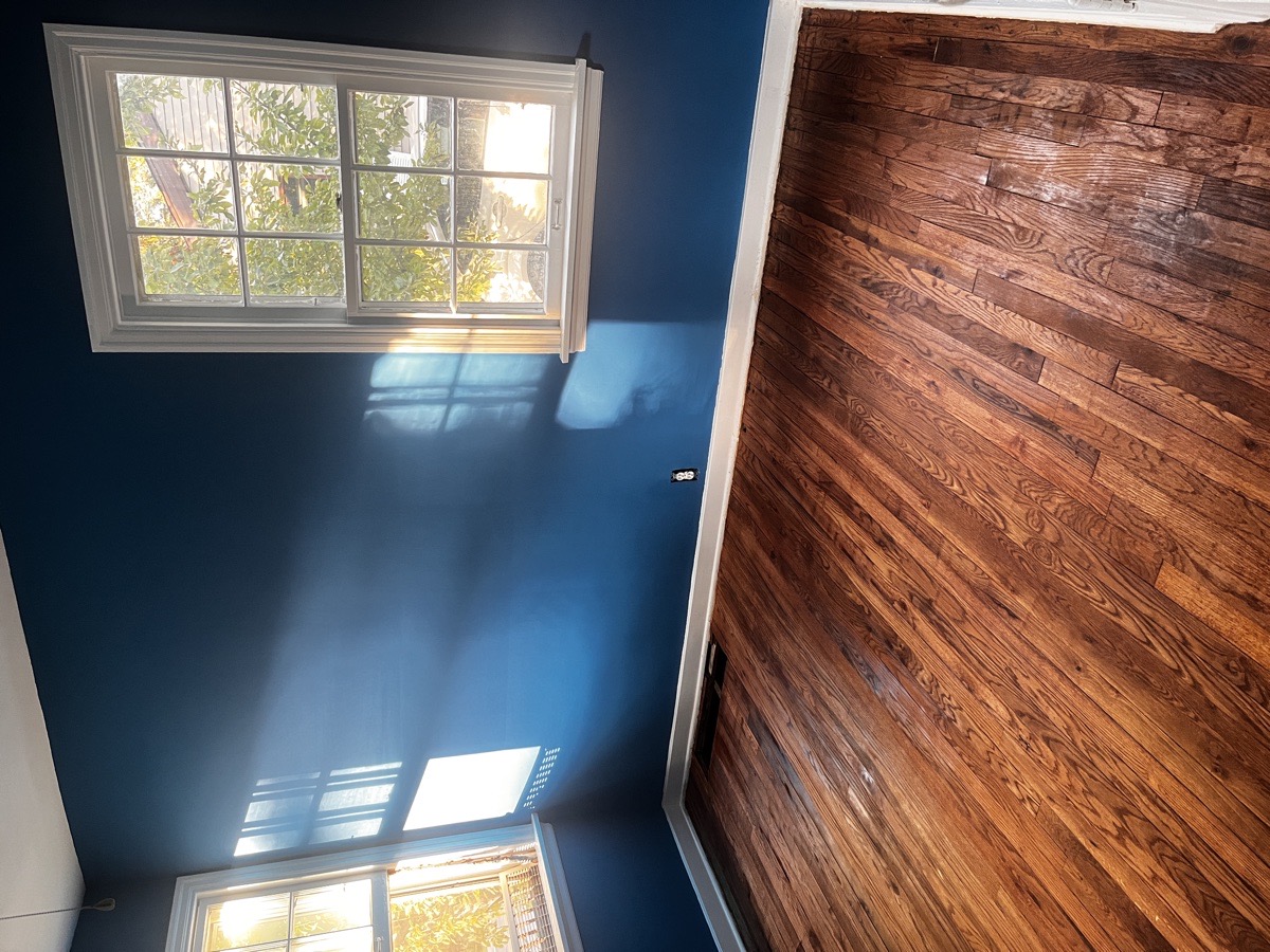 yard maintenance and home renovations — Carl Schaub