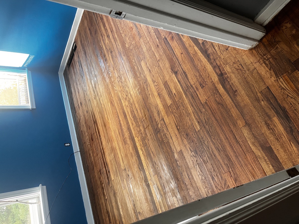 yard maintenance and home renovations — Carl Schaub