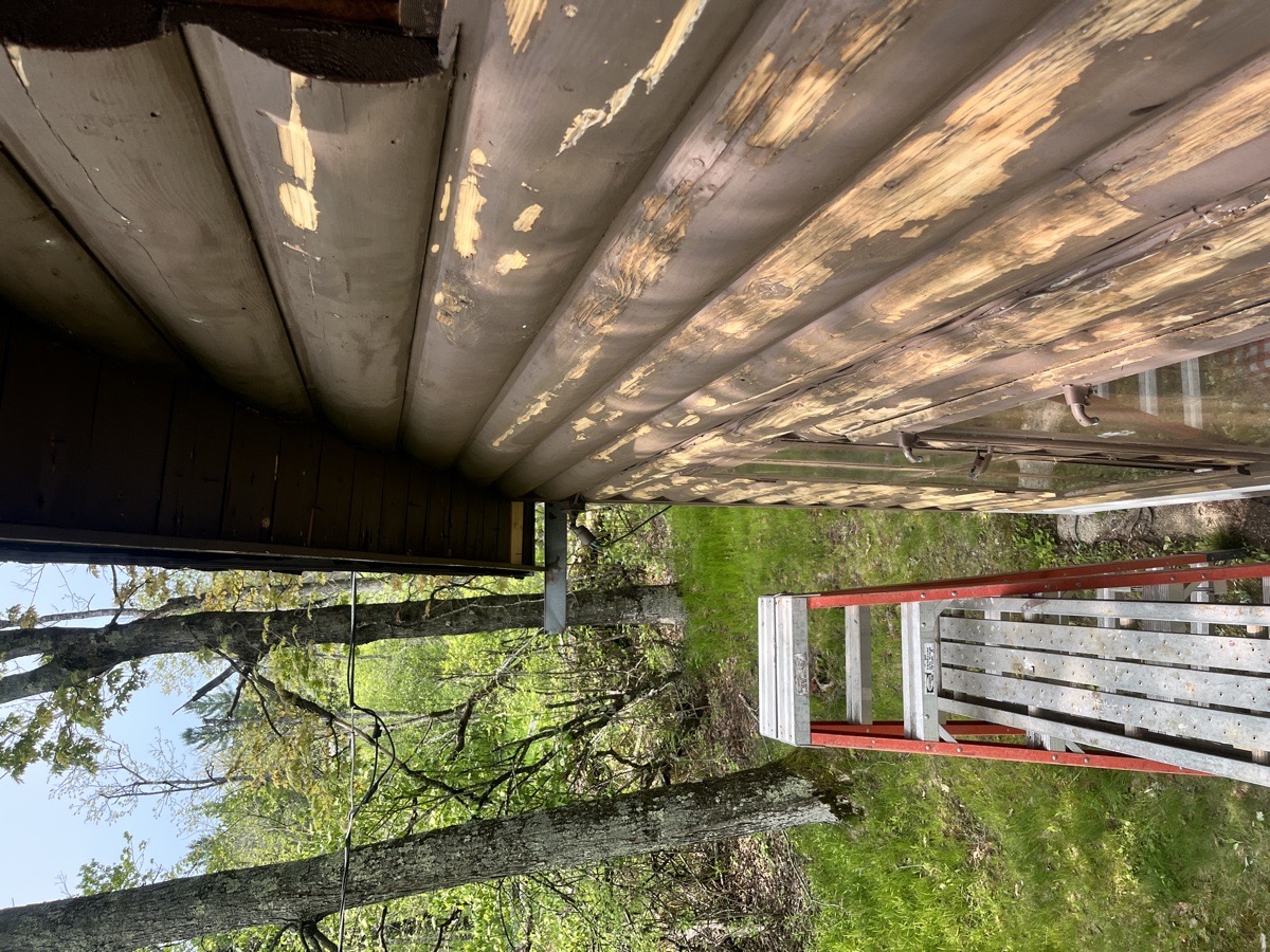 yard maintenance and home renovations — Carl Schaub