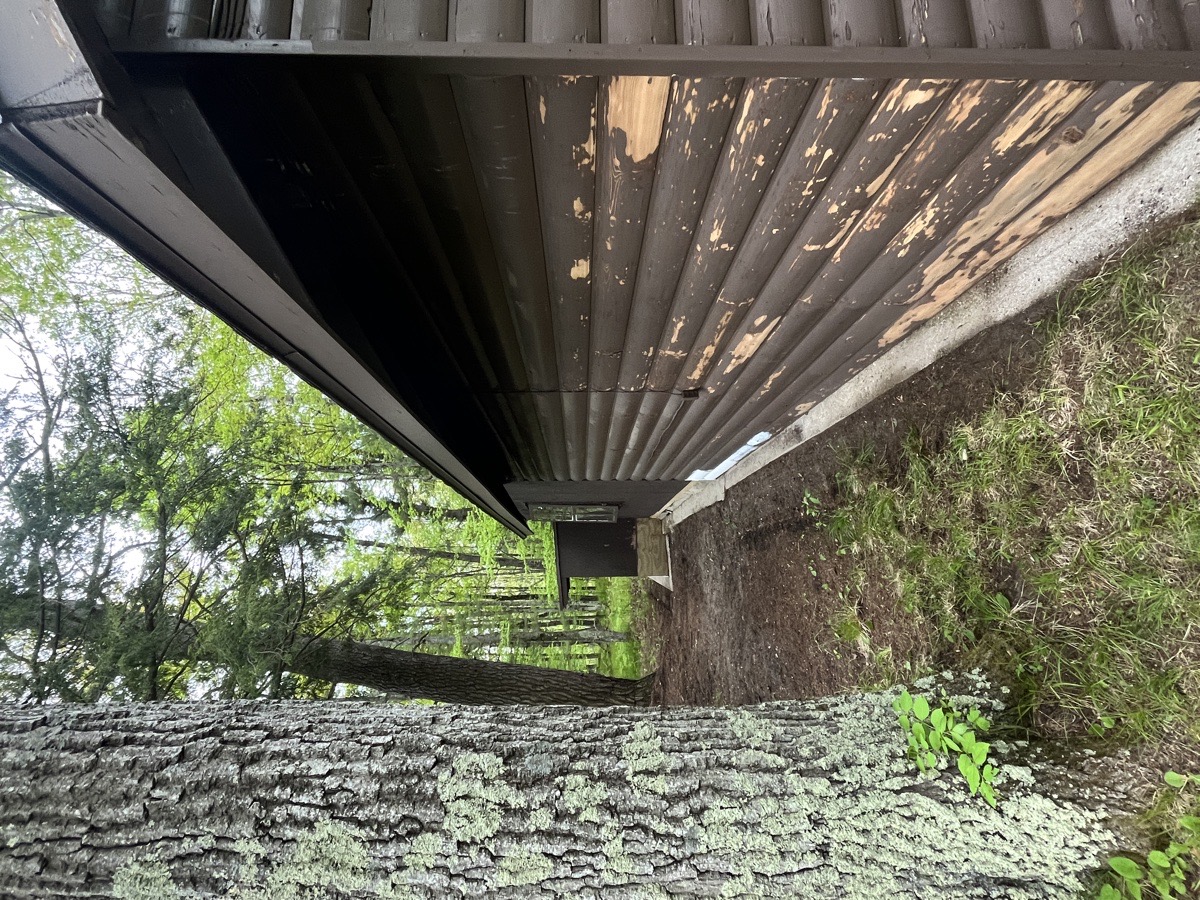 yard maintenance and home renovations — Carl Schaub