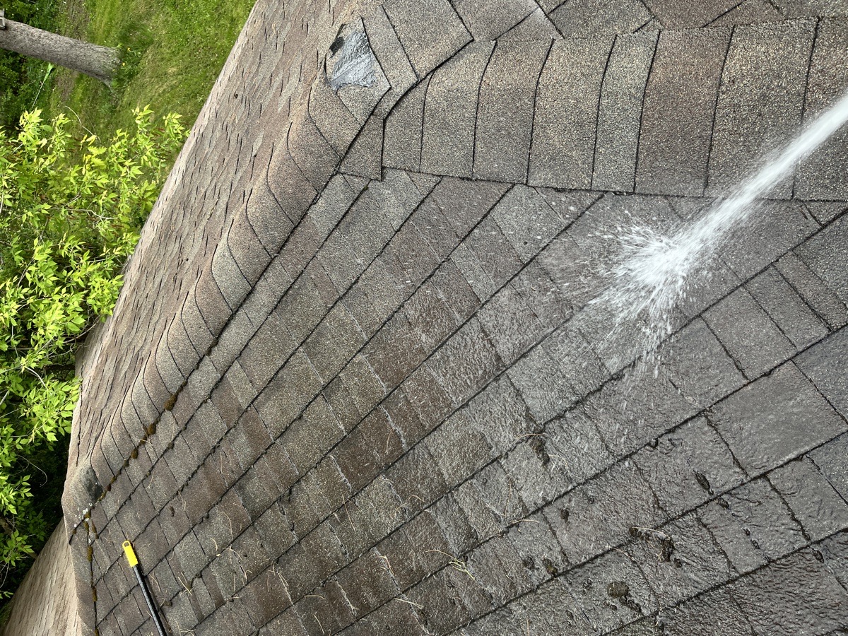 yard maintenance and home renovations — Carl Schaub