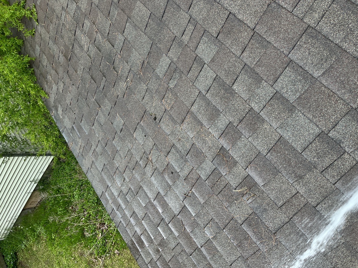 yard maintenance and home renovations — Carl Schaub
