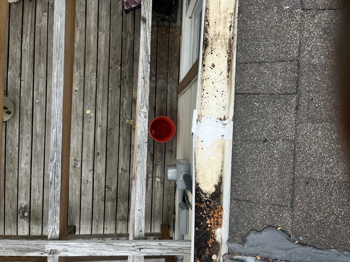 yard maintenance and home renovations — Carl Schaub