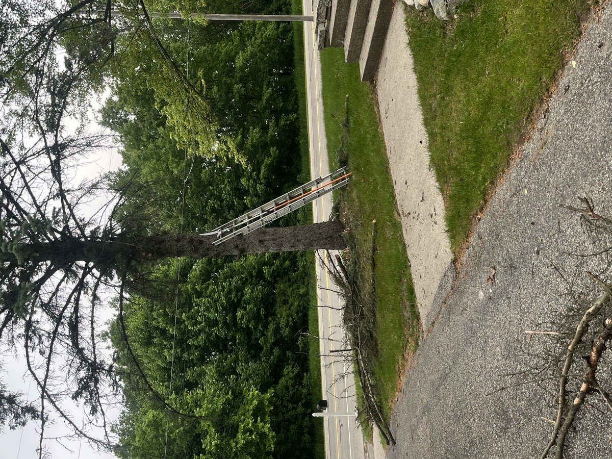 yard maintenance and home renovations — Carl Schaub