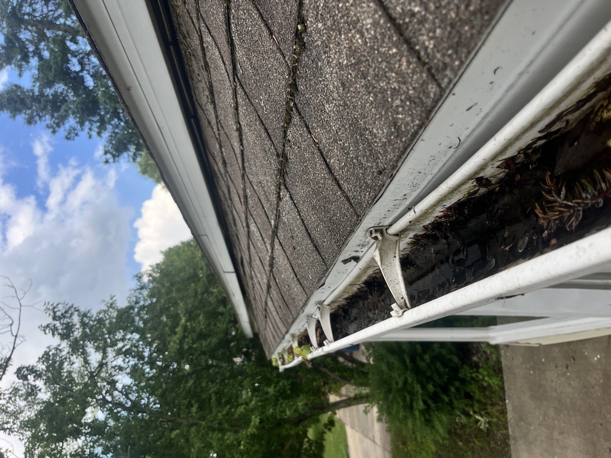 yard maintenance and home renovations — Carl Schaub