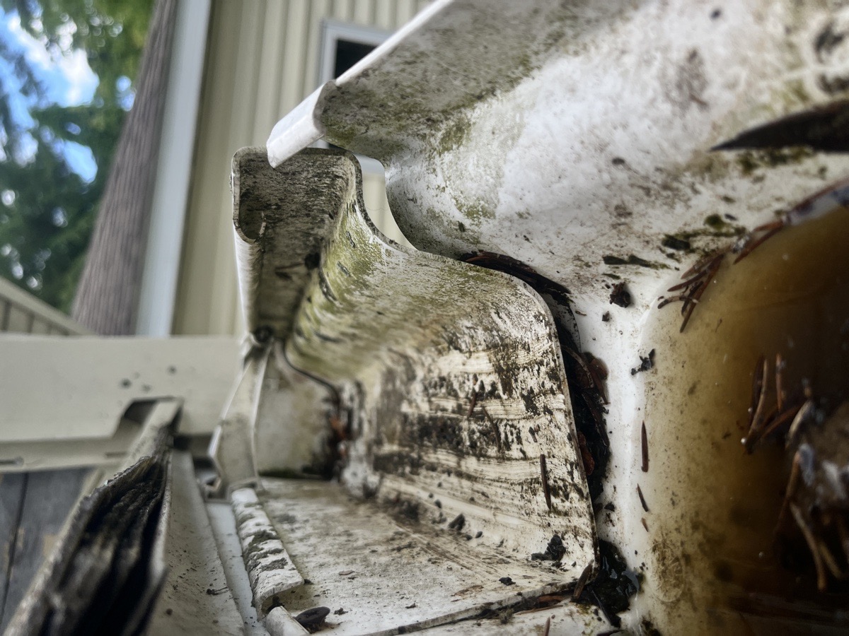 yard maintenance and home renovations — Carl Schaub
