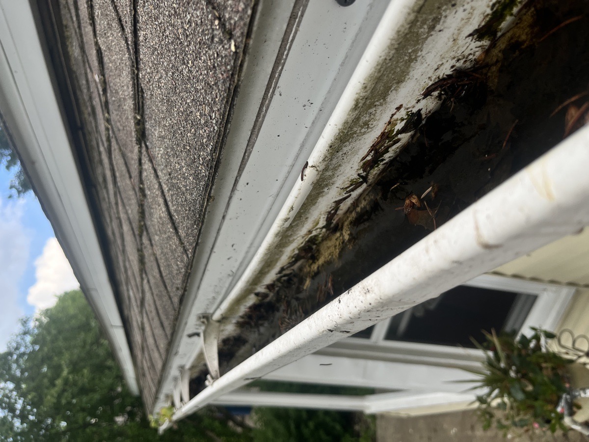 yard maintenance and home renovations — Carl Schaub