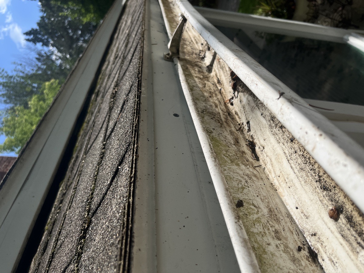 yard maintenance and home renovations — Carl Schaub