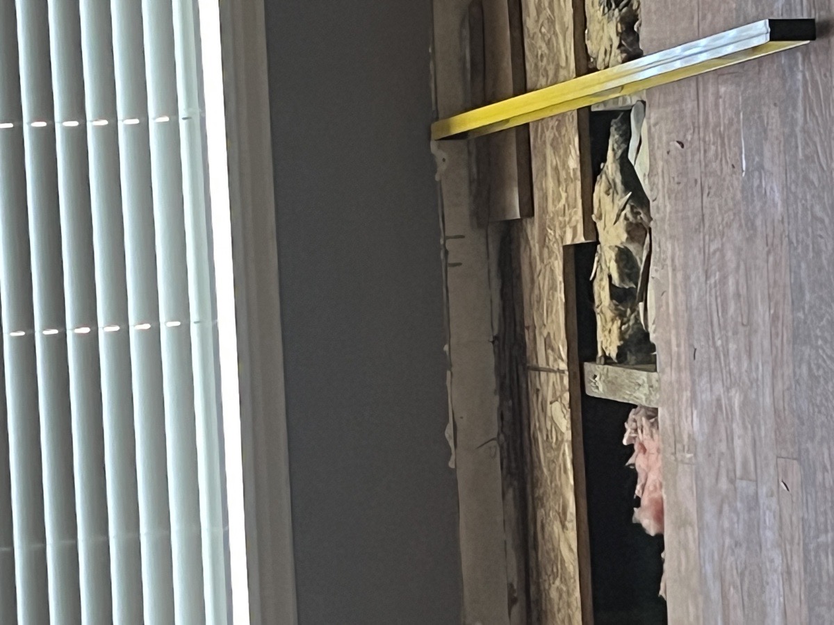 yard maintenance and home renovations — Carl Schaub